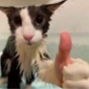 Meet your Posher, Andy